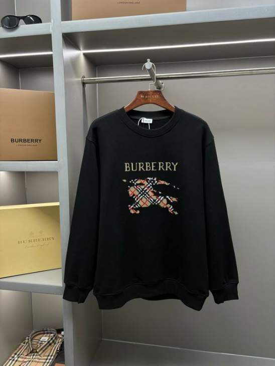 Picture of Burberry Sweatshirt _SKUBurberryS-2XLaztxB22331018